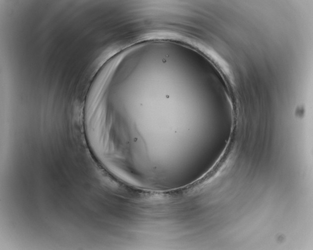 X0000103320945200809192137