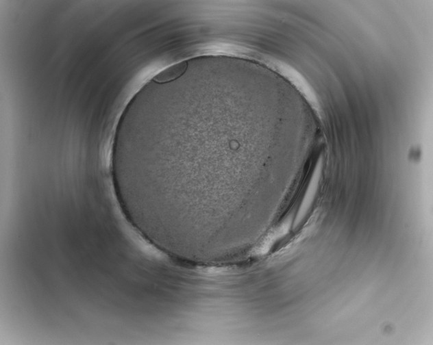 X0000103320946200809192137