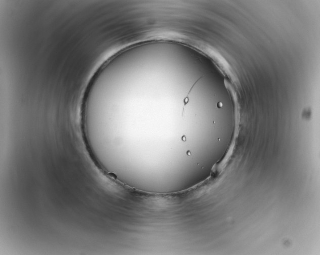 X0000103320947200809192137