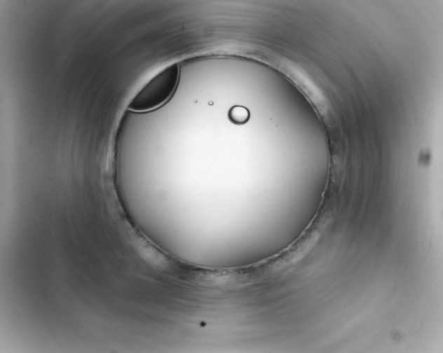 X0000103320948200809192137