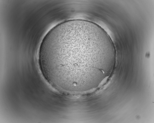 X0000103320949200809192137