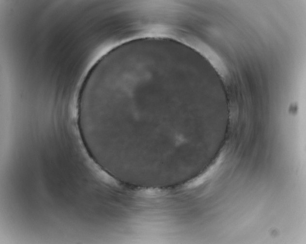 X0000103320950200809192137