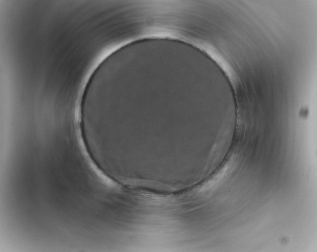 X0000103320951200809192137