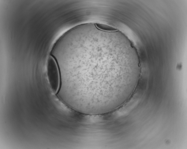 X0000103320952200809192137