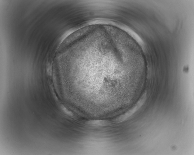 X0000103320953200809192137