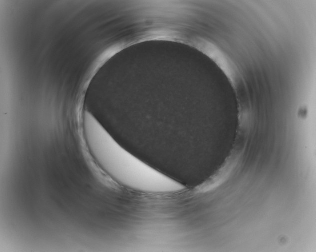 X0000103320954200809192137