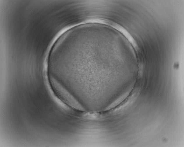 X0000103320955200809192137