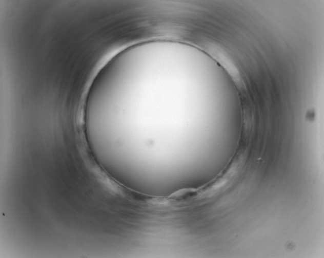 X0000103320956200809192137