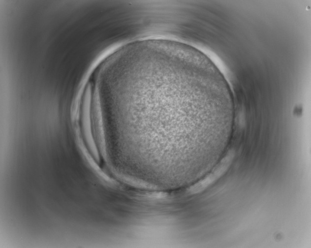 X0000103320957200809192137