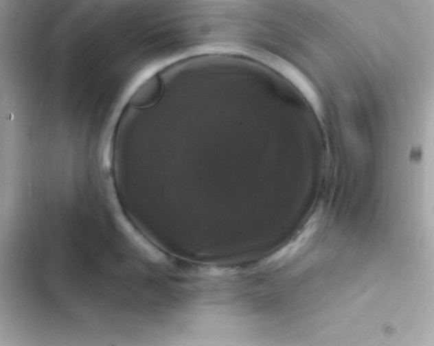 X0000103320958200809192137