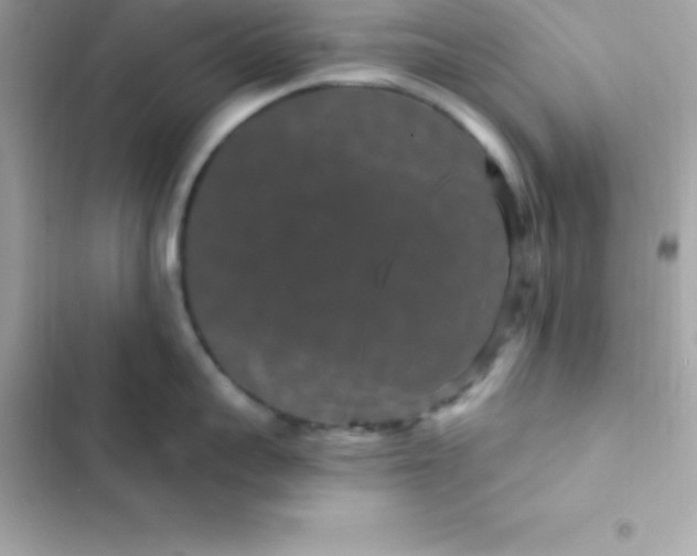 X0000103320959200809192137