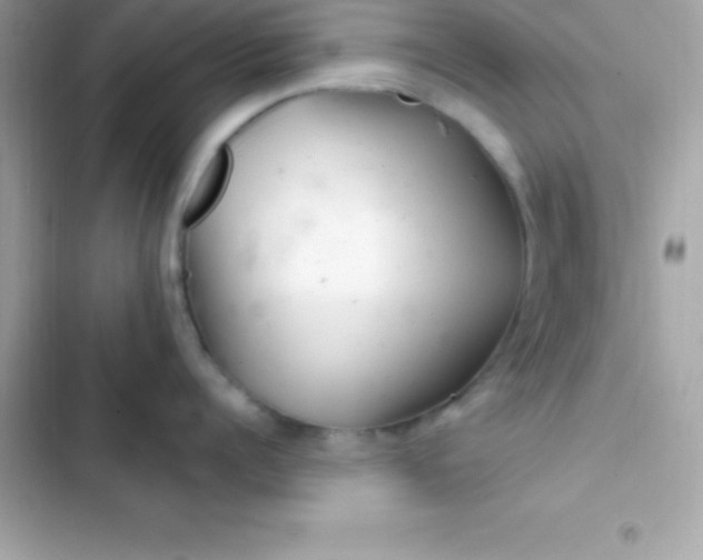 X0000103320960200809192137