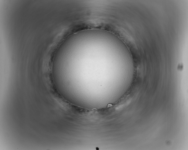 X0000103320961200809192136