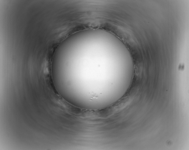 X0000103320962200809192136