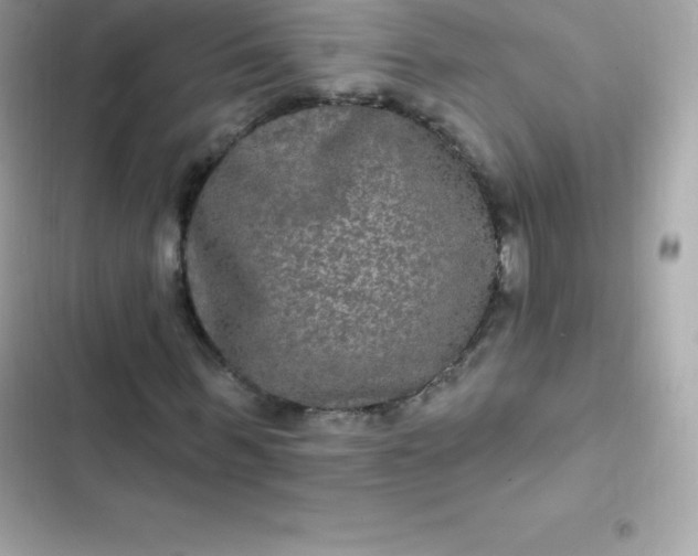 X0000103320963200809192136