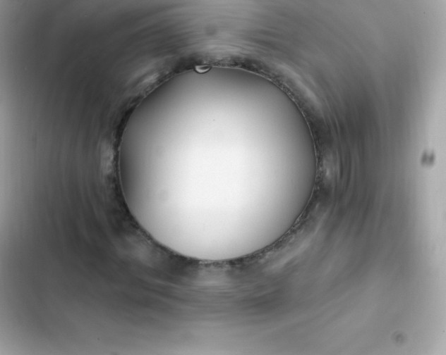 X0000103320964200809192136