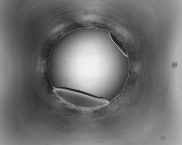 X0000103320965200809192136