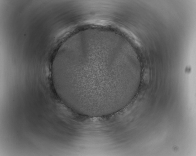 X0000103320966200809192136