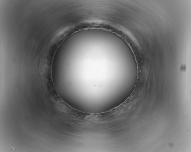 X0000103320967200809192136