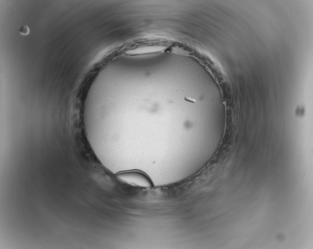 X0000103320968200809192136