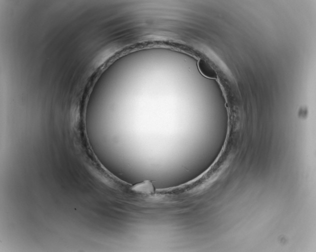 X0000103320969200809192136