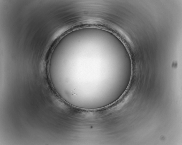 X0000103320970200809192136