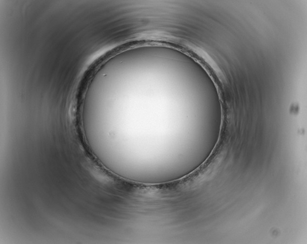 X0000103320971200809192136