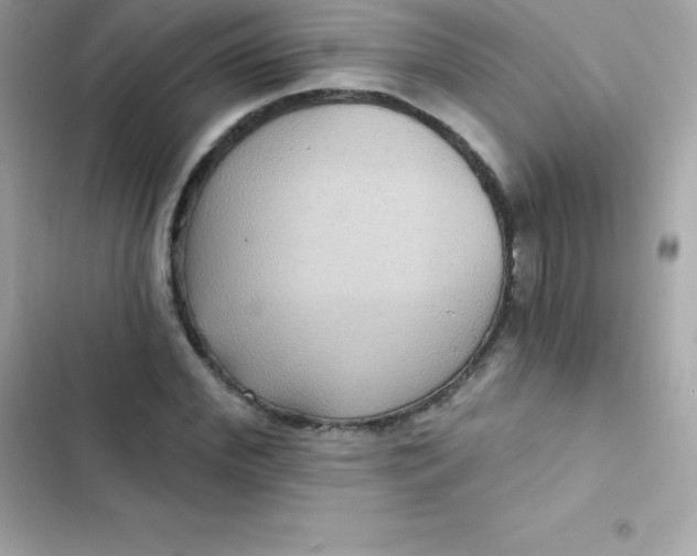 X0000103320972200809192136