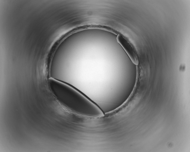 X0000103320973200809192136