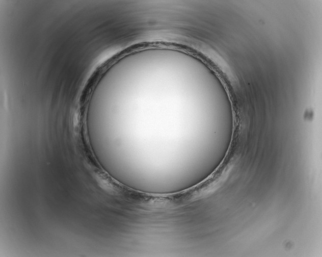 X0000103320974200809192136