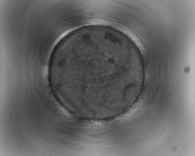 X0000103320975200809192136