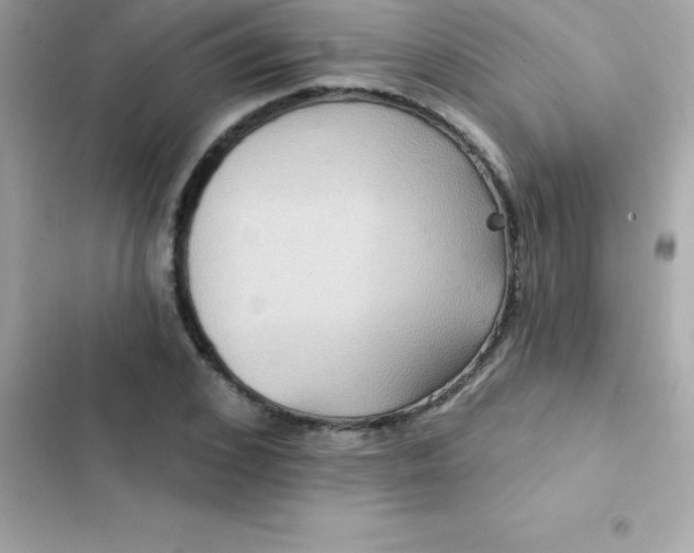 X0000103320976200809192136