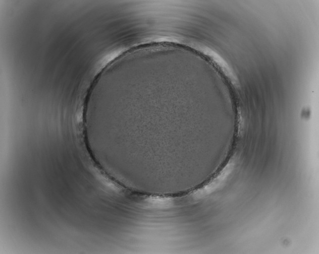 X0000103320977200809192136