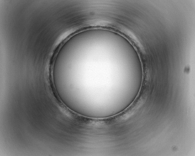 X0000103320978200809192136