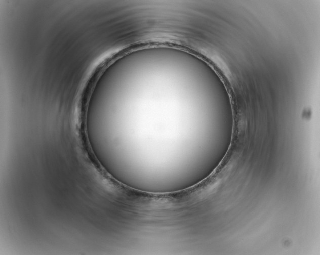 X0000103320979200809192136