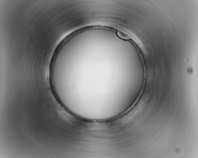 X0000103320980200809192136