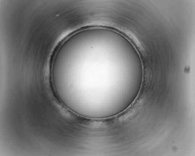 X0000103320982200809192136