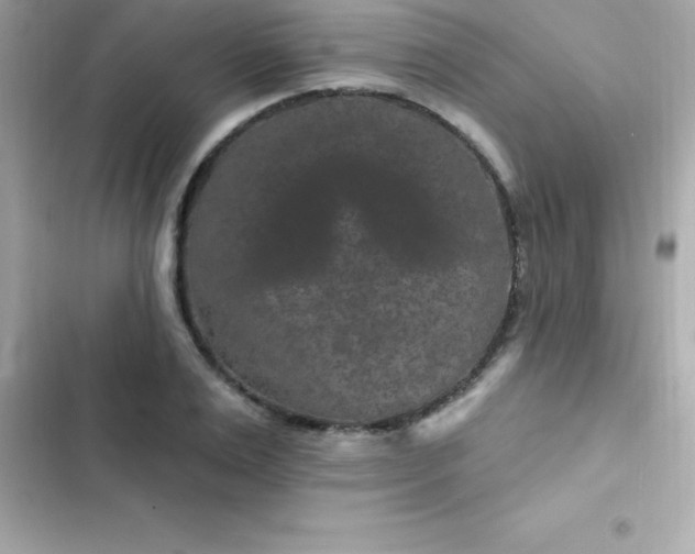 X0000103320983200809192136