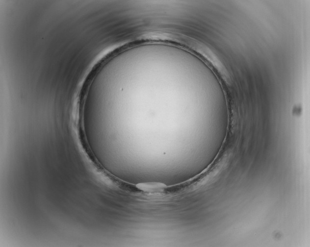 X0000103320984200809192136