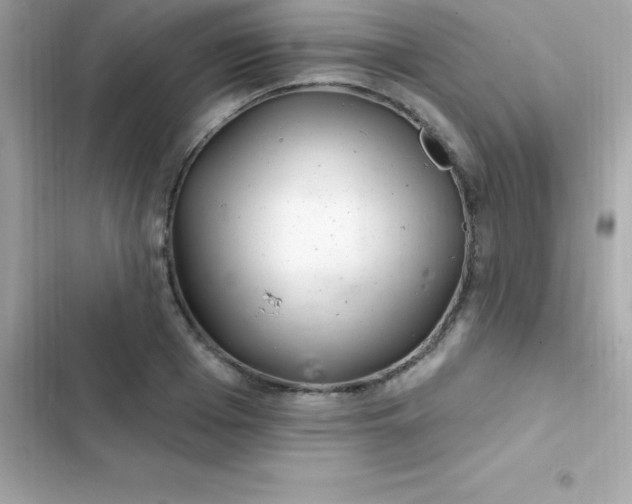 X0000103320985200809192136