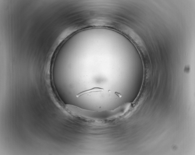 X0000103320986200809192136