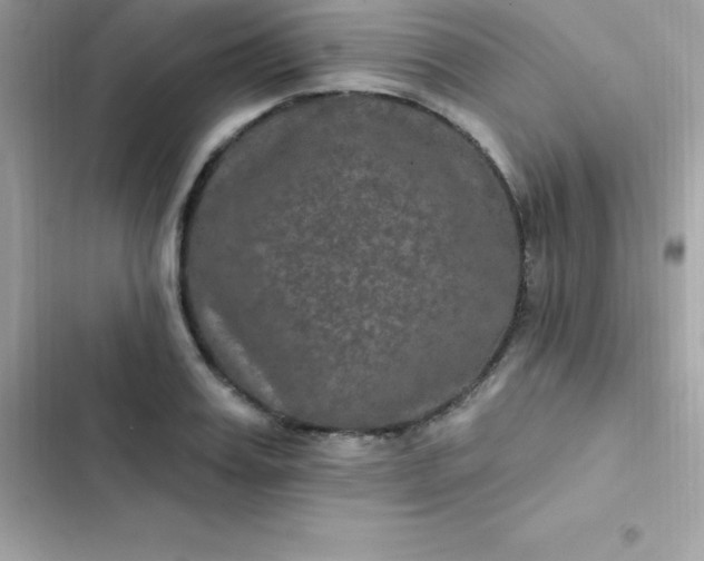 X0000103320987200809192136