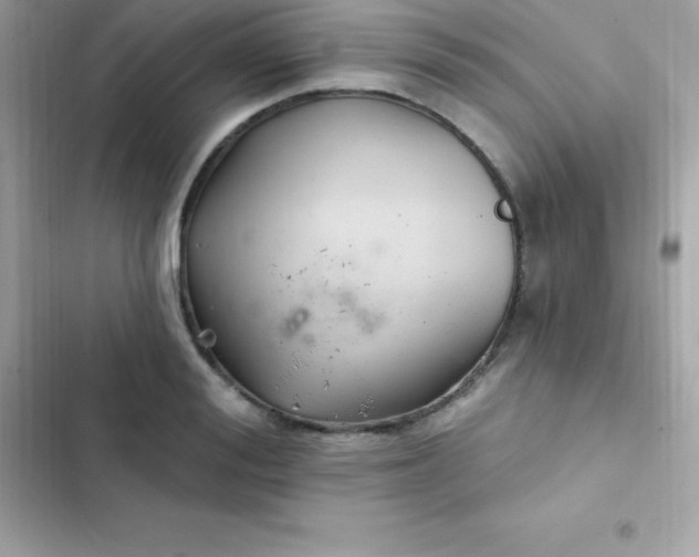 X0000103320988200809192136