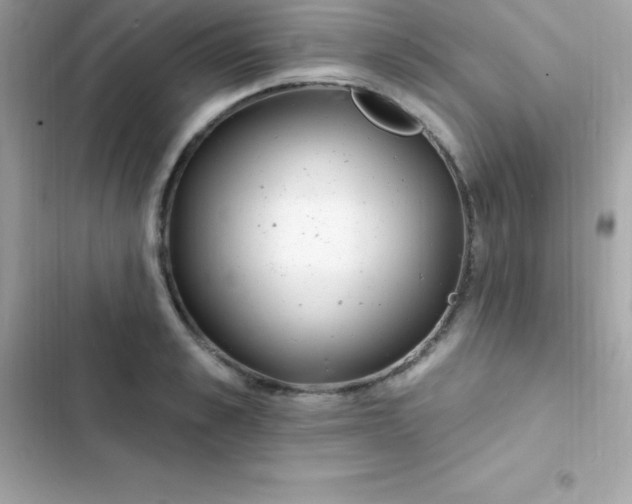 X0000103320989200809192136