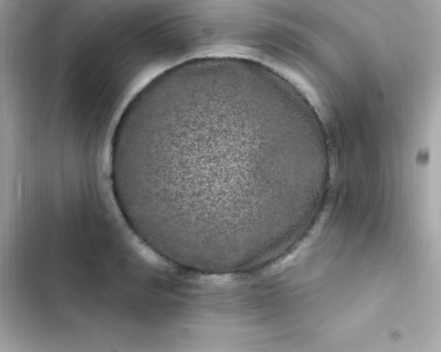 X0000103320990200809192136