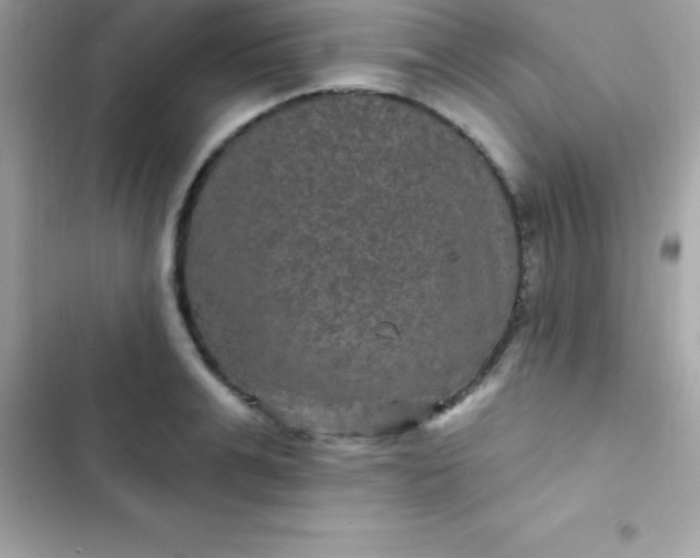 X0000103320991200809192136