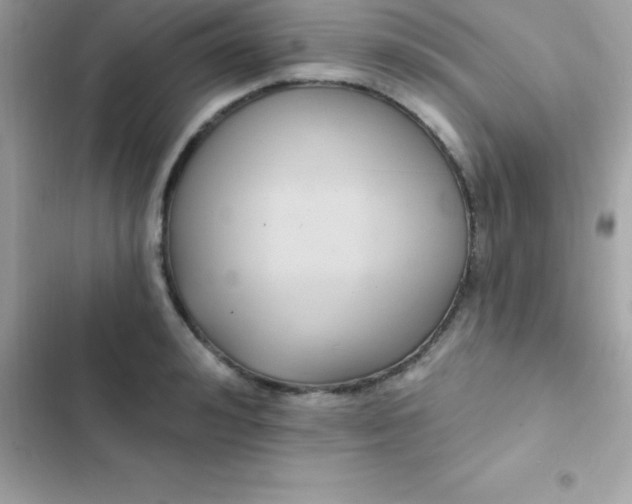 X0000103320992200809192136