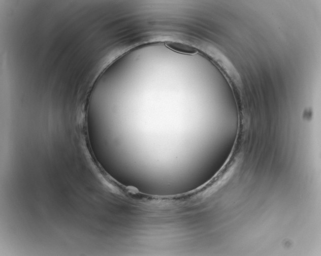 X0000103320993200809192136