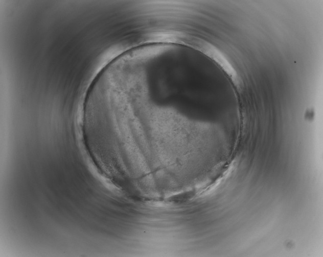 X0000103320994200809192136