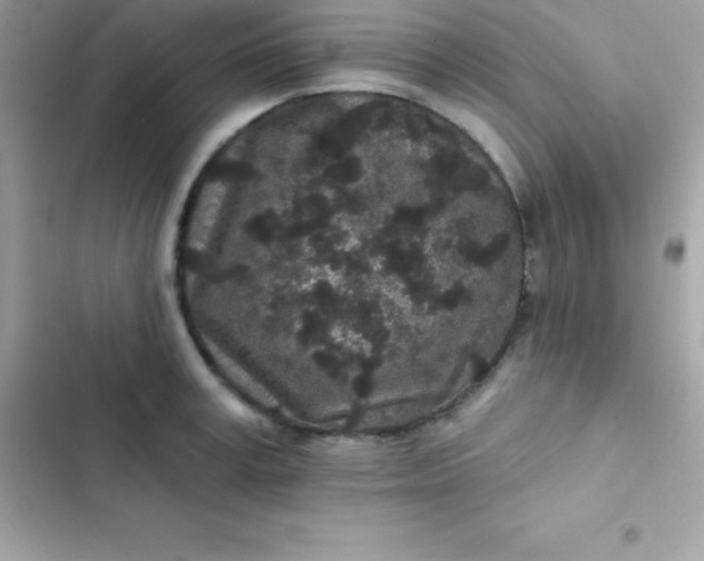 X0000103320995200809192136